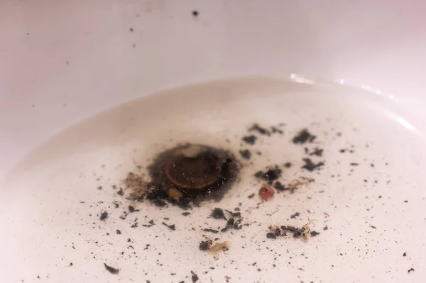 Durgun su havuzundaki saç ve pislik lavabonun tıkandığını gösteriyor..
