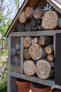 Böceklerin kış uykusuna yatması ve yuva yapması için delinmiş delikleri olan arı ve eşekarıları yaşam alanı..