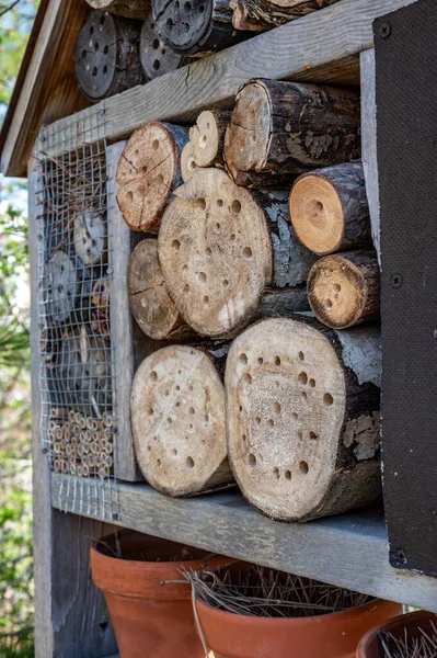 Bee and wasp habitat structure with drilled holes for insects to hibernate and nest in. — Zdjęcie stockowe