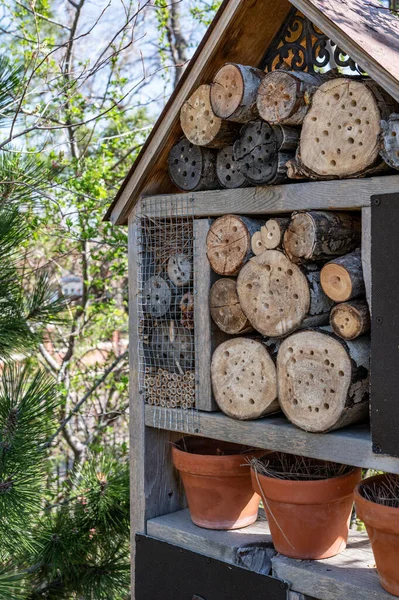 Bee and wasp habitat structure with drilled holes for insects to hibernate and nest in. — Zdjęcie stockowe