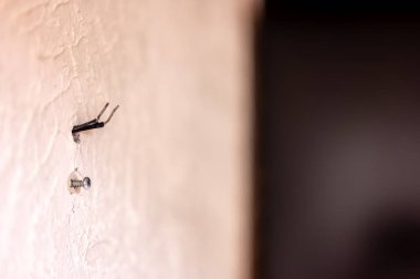 Surround ses hoparlörleri için iki kabloyla yerleşim yerinin duvarındaki deliğe odaklanın..