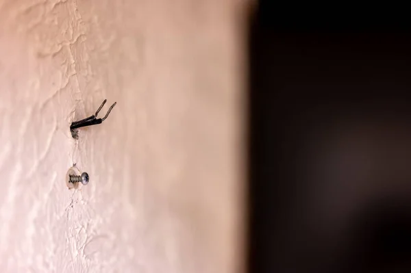 Selective focus on hole in a residential wall with two wires sticking out for surround sound speakers. — ストック写真