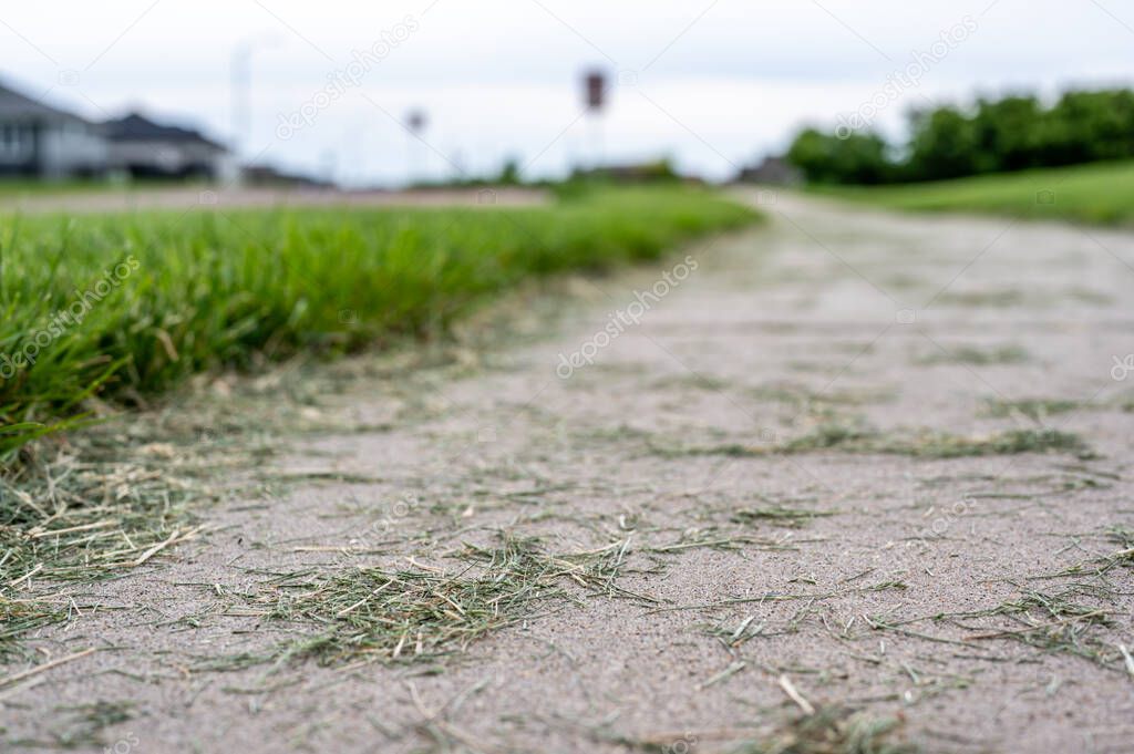 Grass clippings strewn across a residential sidewalk after mowing. . High quality photo