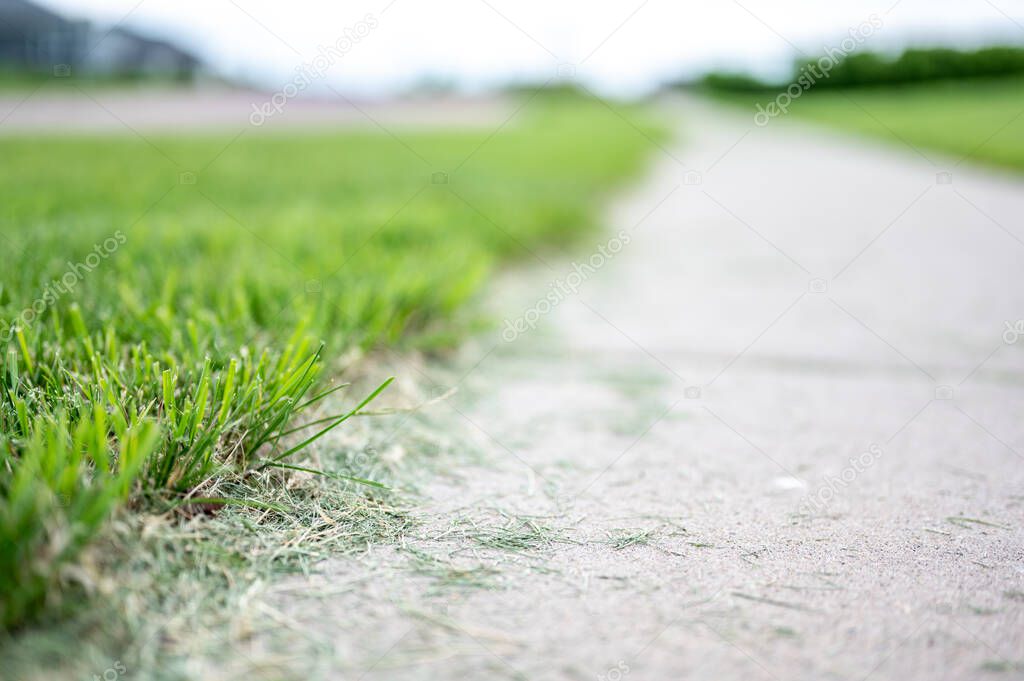 Grass clippings strewn across a residential sidewalk after mowing. . High quality photo
