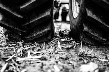 Büyük bir traktör lastiğinin, boş bir arazideki toprağın üstündeki toprağı ezmesi sonucu oluşan toprak sıkışması. Yüksek kalite fotoğraf