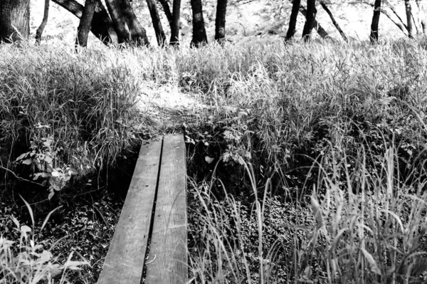 Deux Planches Bois Sont Utilisées Pour Traverser Fossé Ouvert Sur — Photo
