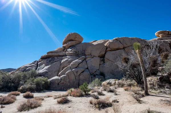 Joshua Tree Nationalpark Ein Beliebtes Ausflugsziel Kalifornien — Stockfoto