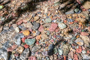 Rainbow multi-colored rocks in Avalanche creek leading towards Lake McDonald at Glacier National Park, Montana, USA. High quality photo