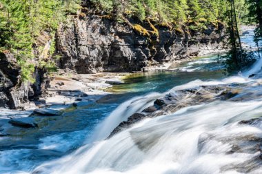 Cascades and rushing water in Avalanche Creek at Glacier National Park, Montana. . High quality photo