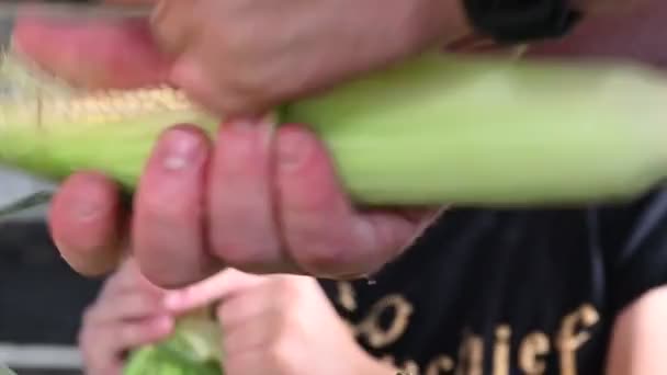 Small Child Learning Shucking Tasseling Sweet Corn High Quality Photo — Vídeo de Stock