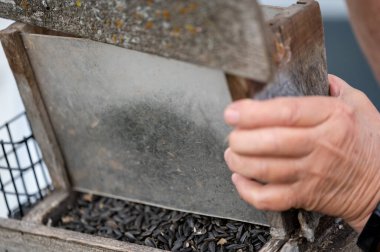 Tohumların karışımı ile kuş yemliğine odaklan. Bulanık arka planı olan ahşap veranda. - Evet. Yüksek kalite fotoğraf