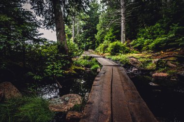 ABD 'nin Maine eyaletindeki Acadia Ulusal Parkı' nda Jordan Pond 'un batı kıyısında yükseltilmiş sahil yolu. Yüksek kalite fotoğraf