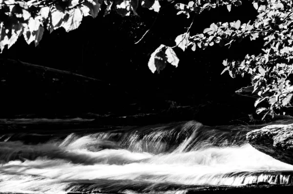 Cascades Rushing Water Avalanche Creek Glacier National Park Montana High — 图库照片