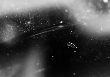 Bir aracın ön camında kırık var. Yüksek kalite fotoğraf