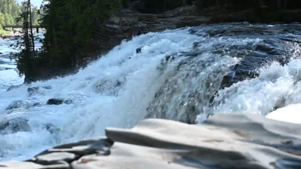 モンタナ州のグレイシャー国立公園にあるアバランシェ クリークのカスケードと急流 そうだ 4Kビデオ — ストック動画