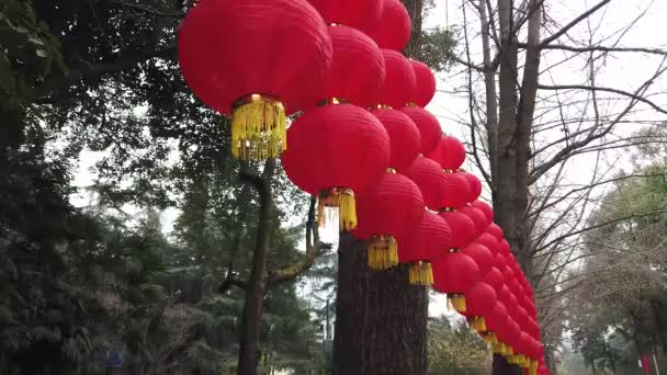 Китайські ліхтарі, що звисають на деревах. — стокове відео
