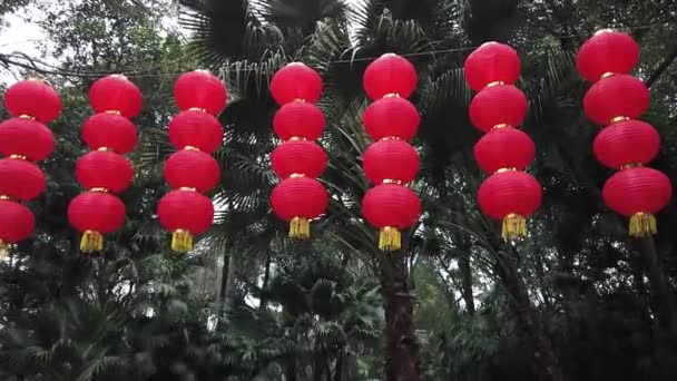 Lanternas chinesas vermelhas penduradas em árvores na China — Vídeo de Stock