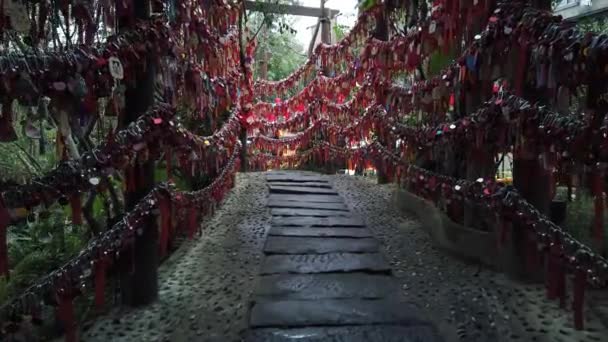 Sacs cadeaux chanceux rouges suspendus aux arbres — Video