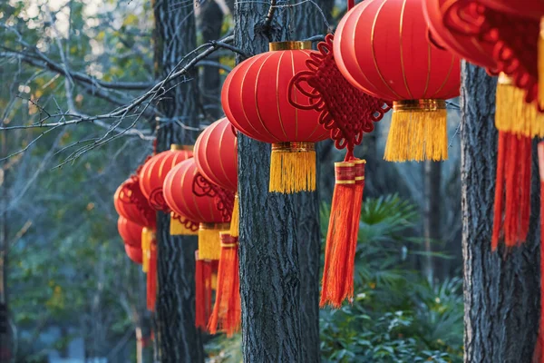Rode Chinese Lantaarns Hangen Aan Bomen Cultuurpark Voor Het Chinese — Stockfoto