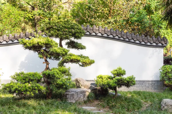 Bonsai trees against a white wall in a park — Stock Photo, Image