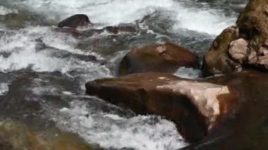 Water spring flowing in the mountain close-up view, QingChengdShan, Sichuan province China
