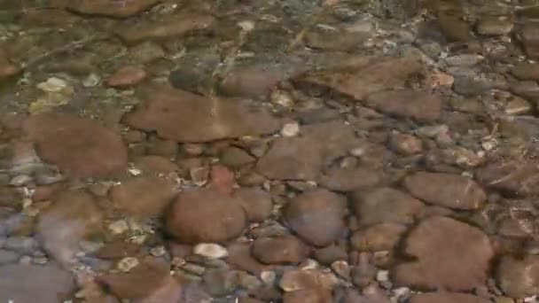 Clear Water Spring Mountain Close View Qingchengdshan Sichuan Province China — Stok Video