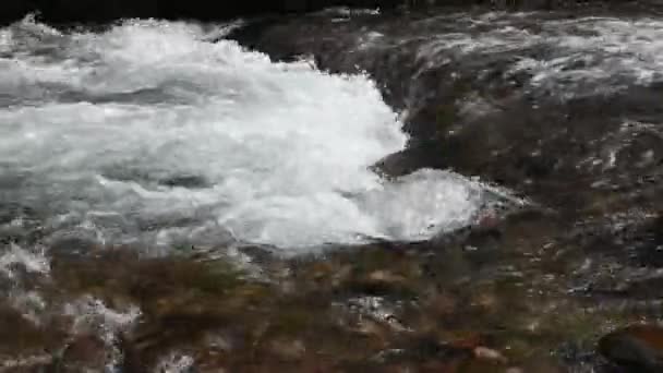 Water Spring Flowing Mountain Close View Qingchengdshan Sichuan Province China — Stockvideo