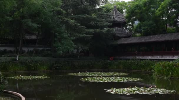 Chengdu Επαρχία Sichuan Κίνα Σεπτεμβρίου 2022 Μια Λίμνη Και Ένας — Αρχείο Βίντεο