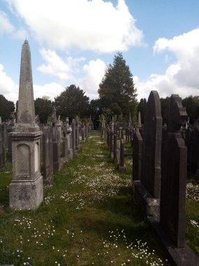 Toprağın altında yaşam