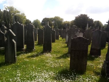 Toprağın altında yaşam