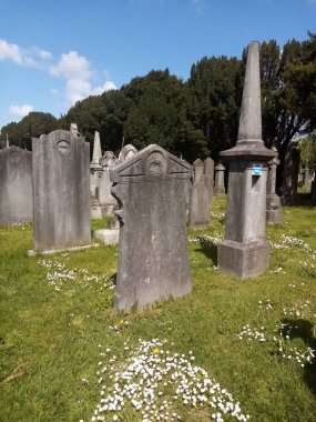 Toprağın altında yaşam