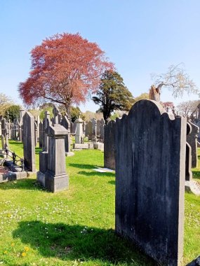 Yıllar geçtikçe yerler