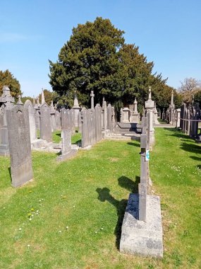 Yıllar geçtikçe yerler