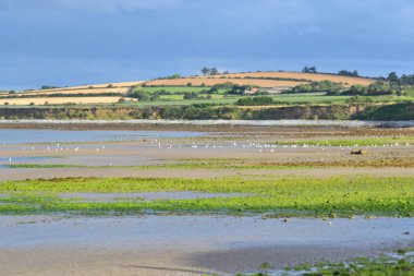 what places in ireland