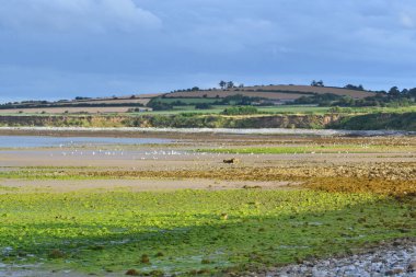 what places in ireland