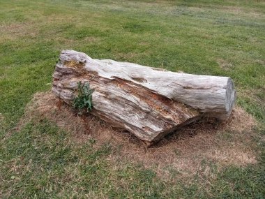 İrlanda 'nın yerleri