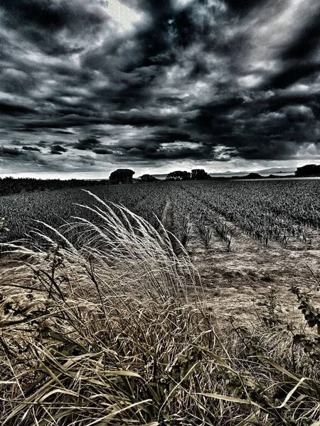 Another Landscape See — Stok fotoğraf