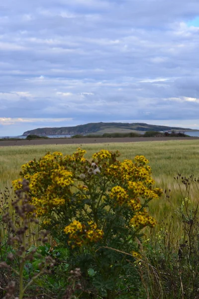 Les Paysages Irlande — Photo