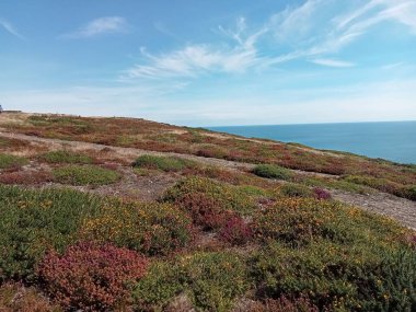 İrlanda toprakları