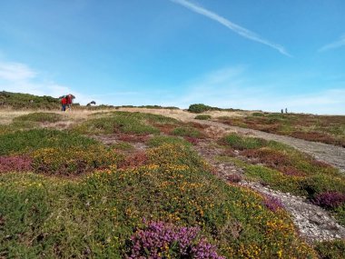 İrlanda toprakları