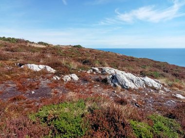 İrlanda toprakları