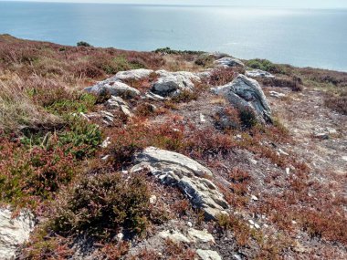 İrlanda toprakları