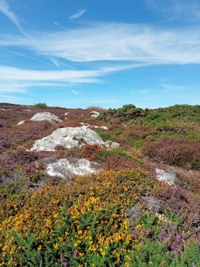 İrlanda toprakları