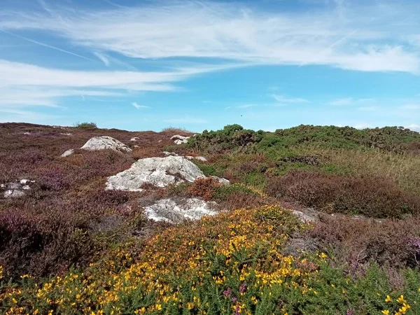 İrlanda toprakları
