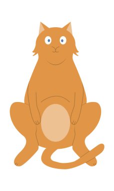 Komik kedi oturup olanları izliyor. Evcil hayvan.