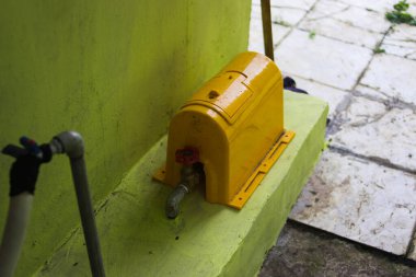 Sabah yeşil taro yapraklarındaki çiğ damlalarının yakın görüntüsü