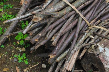 Bahçeden bir yığın kuru odun genellikle geleneksel Java mutfağında yakacak odun olarak kullanılıyor..