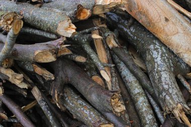 Bahçeden bir yığın kuru odun genellikle geleneksel Java mutfağında yakacak odun olarak kullanılıyor..