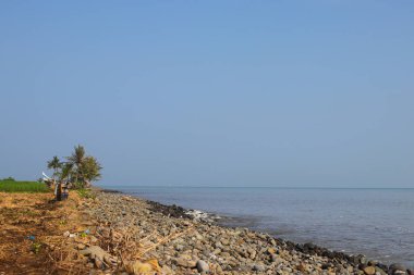 Loji sahili açık mavi gökyüzü, kayalık plaj ve sabah hindistan cevizi ağacıyla kaplı..