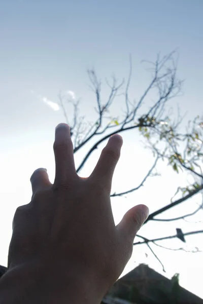 Руки Тянутся Ясному Голубому Небу — стоковое фото